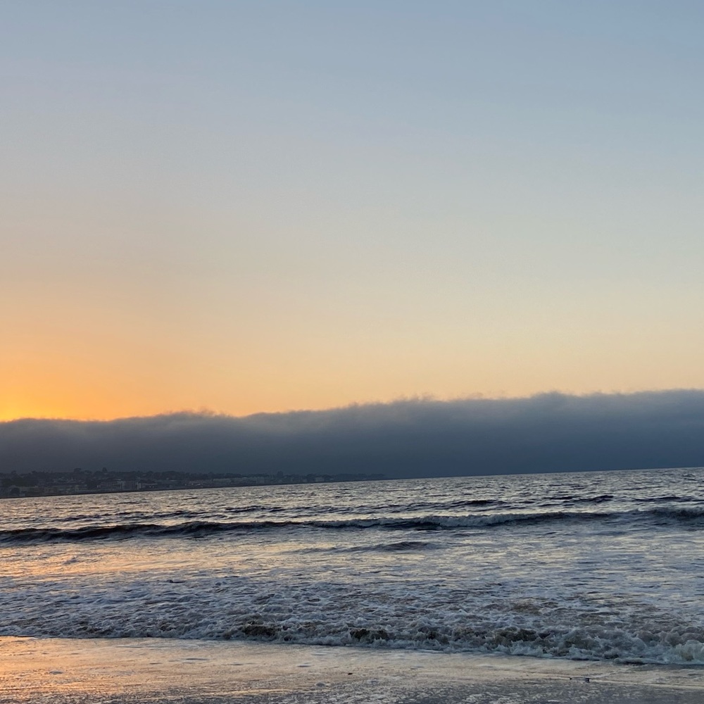 Posh Ambassador -Bookmark to revisit.